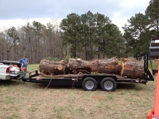 Tree Removal