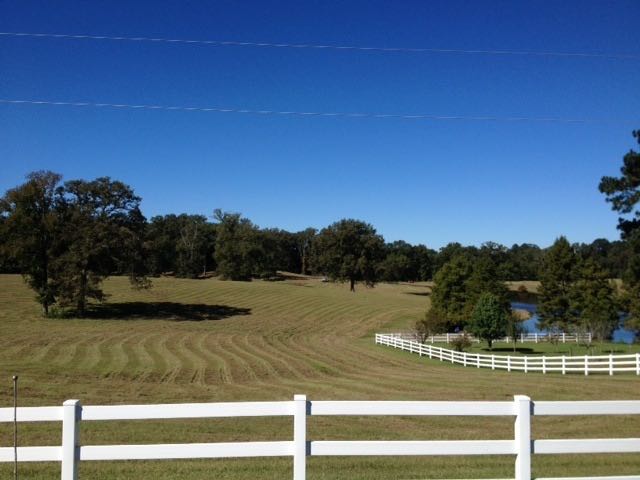 Bushhogging and pasture care