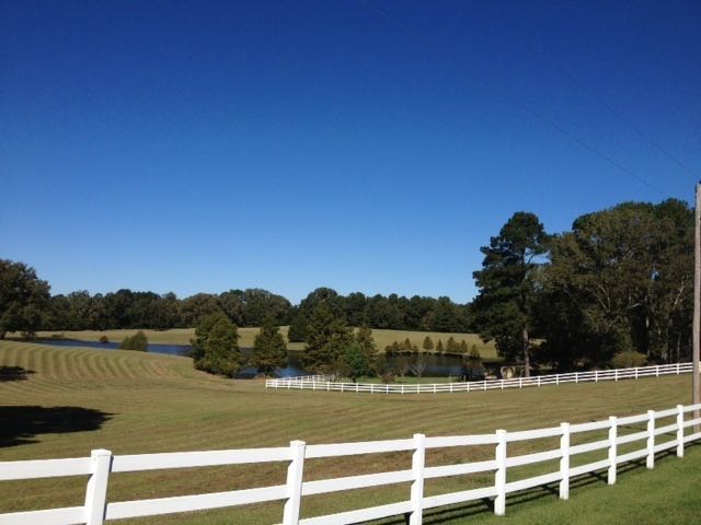 Bushhogging and pasture care